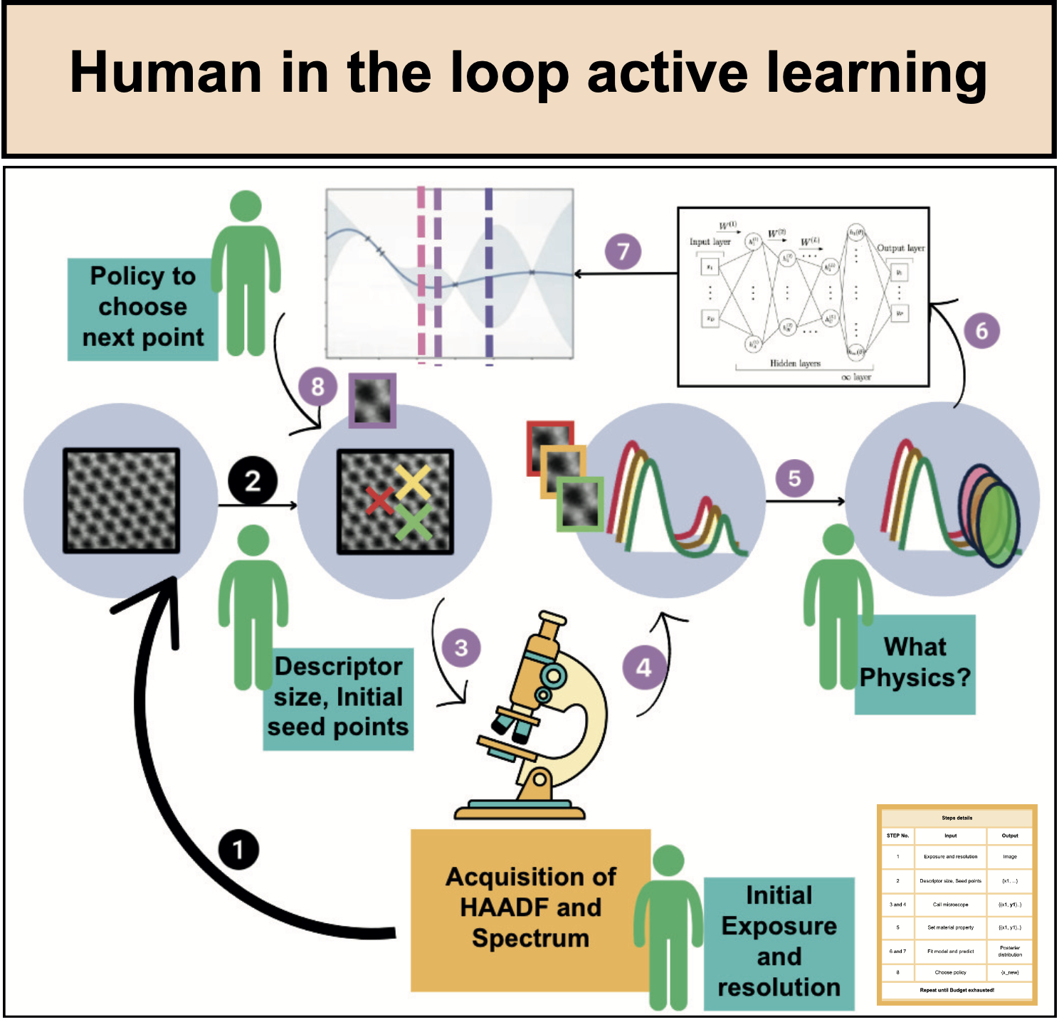 Human in the loop active learning